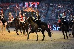 Cavalry - 00129